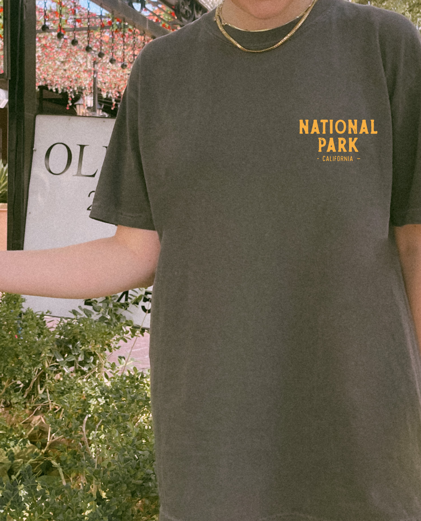 Death Valley Vintage Style Comfort Color Tshirt