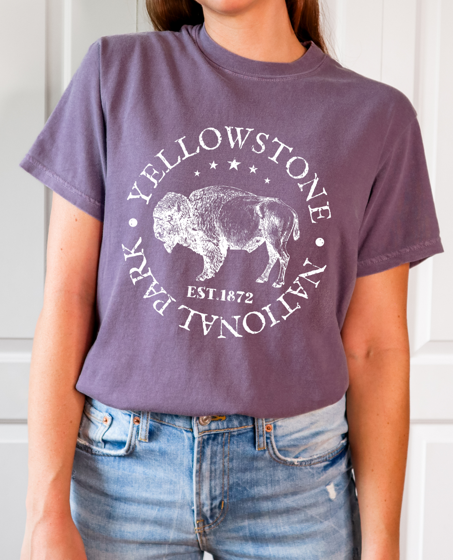 Yellowstone Vintage Style Comfort Color Tshirt