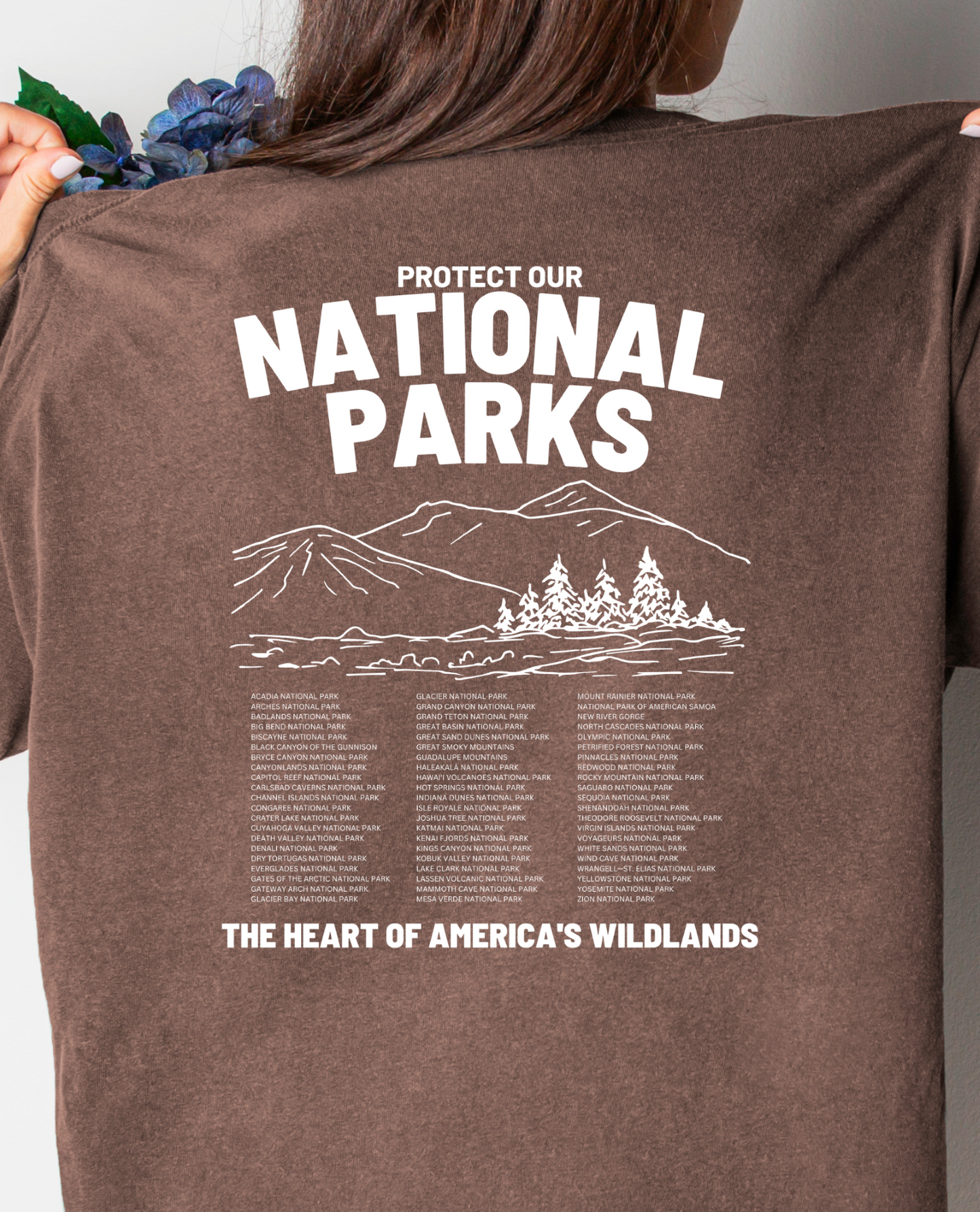 National Parks Vintage Style Comfort Color Tshirt